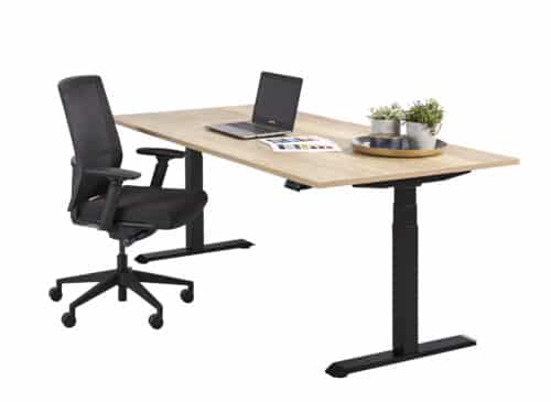 Grote zit sta bureau professional 200x80